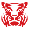 /game/vi/logo/df/group_icons/gg_rtdtiger.png